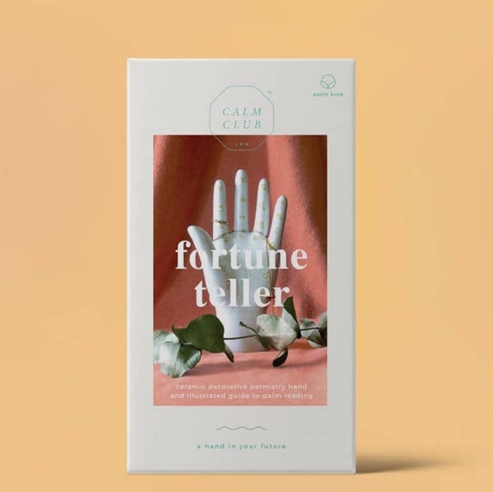 Palmistry Hand + Guide
